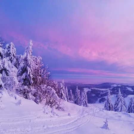 Апартаменты Tatran - Nika Доновалы